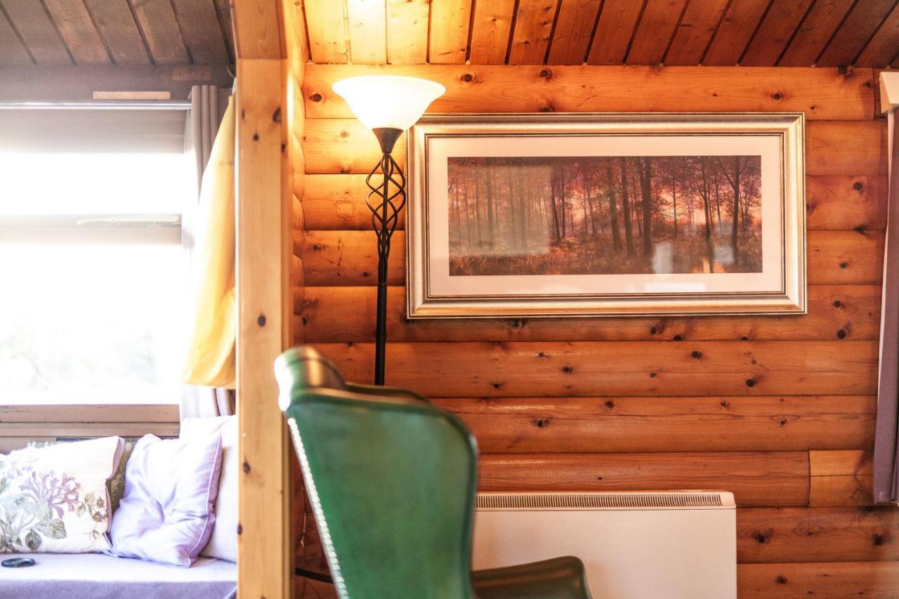 Log Cabin Nestled In The Mountains Of Snowdonia By Seren Property Trawsfynydd エクステリア 写真